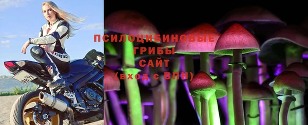 хмурый Инта