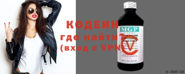 хмурый Инта