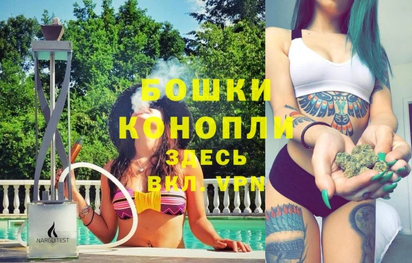 хмурый Инта