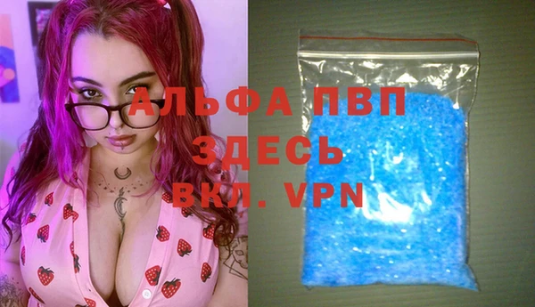 хмурый Инта