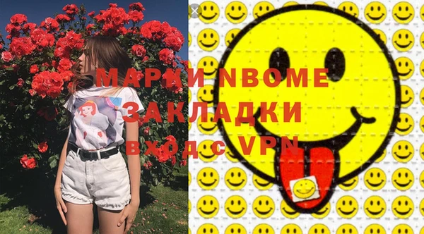 хмурый Инта