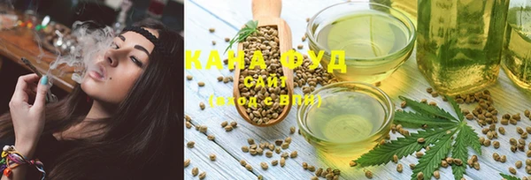 хмурый Инта