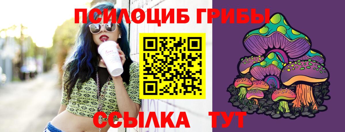 Галлюциногенные грибы MAGIC MUSHROOMS  Вход с VPN  Красноармейск  Галлюциногенные грибы Magic Shrooms 