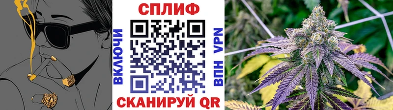 Бошки Шишки тримм  Красноармейск 